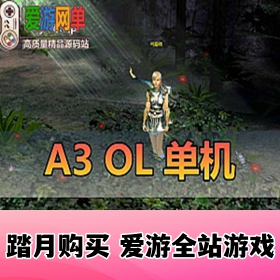 【网单联盟】A3OL 韩国经典复古网游 219版本虚拟机一键端 四职业带GM全套攻略